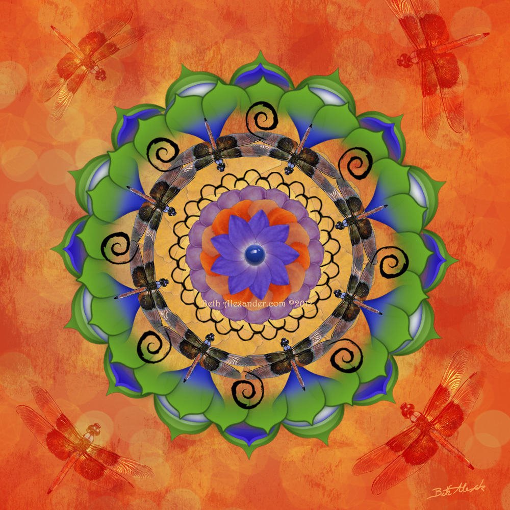 Dragonfly Mandala Digital Art by Beth Alexander